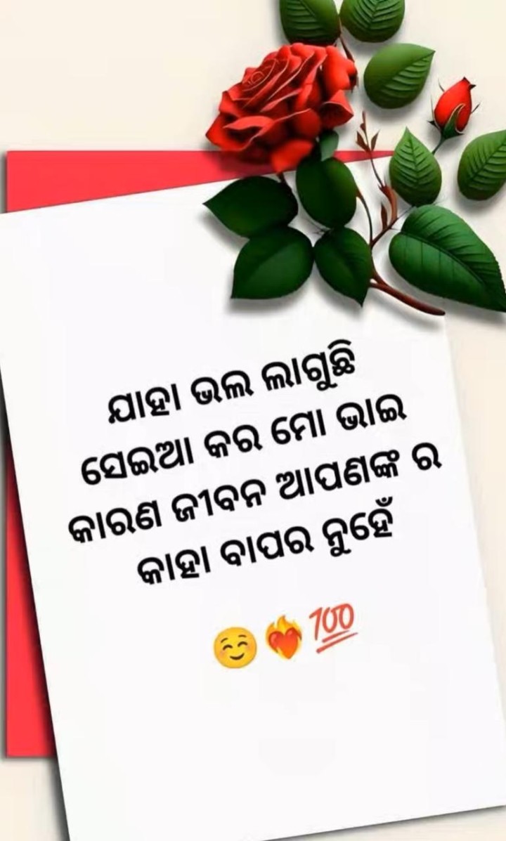 ଯାହା ଭଲ ଲାଗୁଛି ସେଇଆ କର