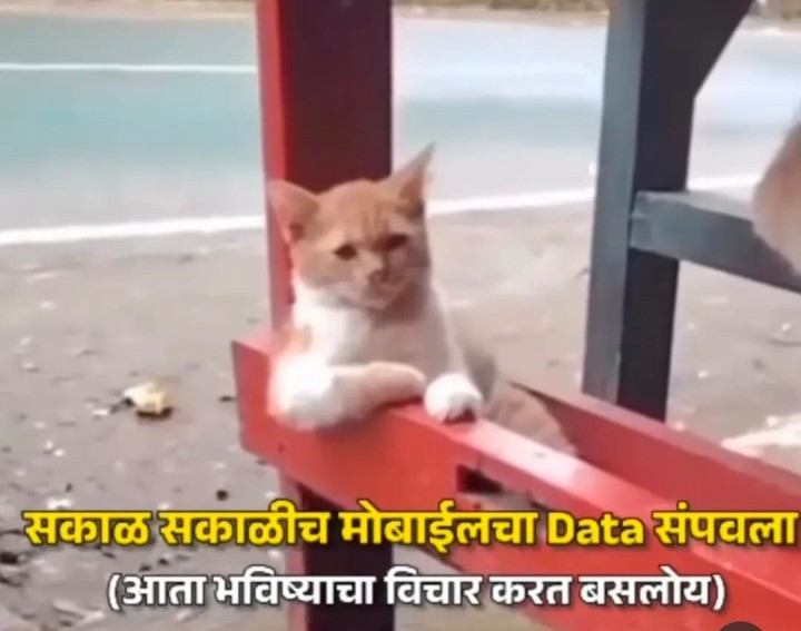 भविष्याचा विचार करणारा मी