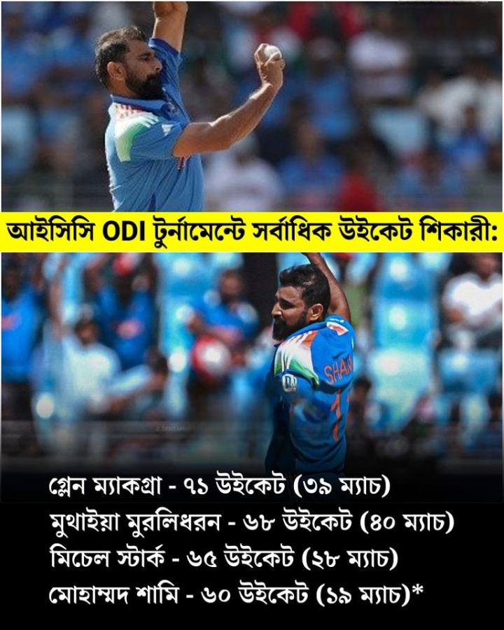 শামির কীর্তি।