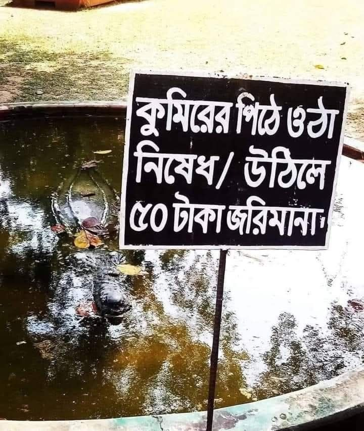 এ কেমন জরিমানা?