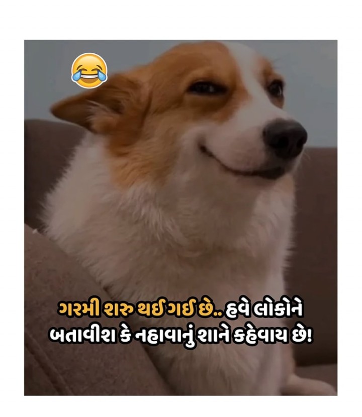 તમારા માટે ખાસ,