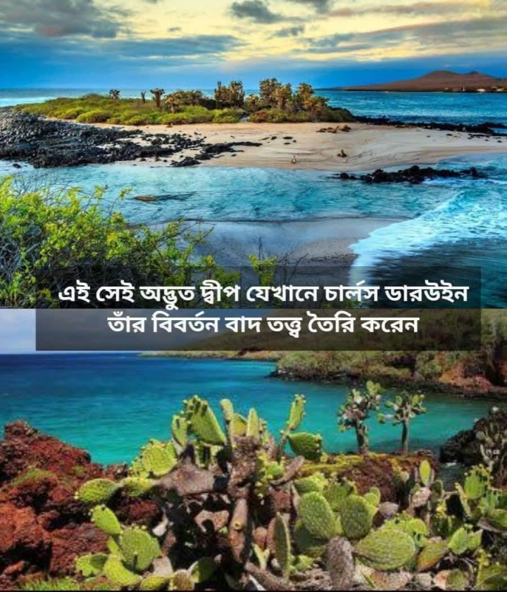 গালাপাগোস দ্বীপ: প্রকৃতির রহস্যময় রাজ্য! প্যাসিফিক মহাসাগরের মাঝে অবস্থিত এই দ্বীপটি।