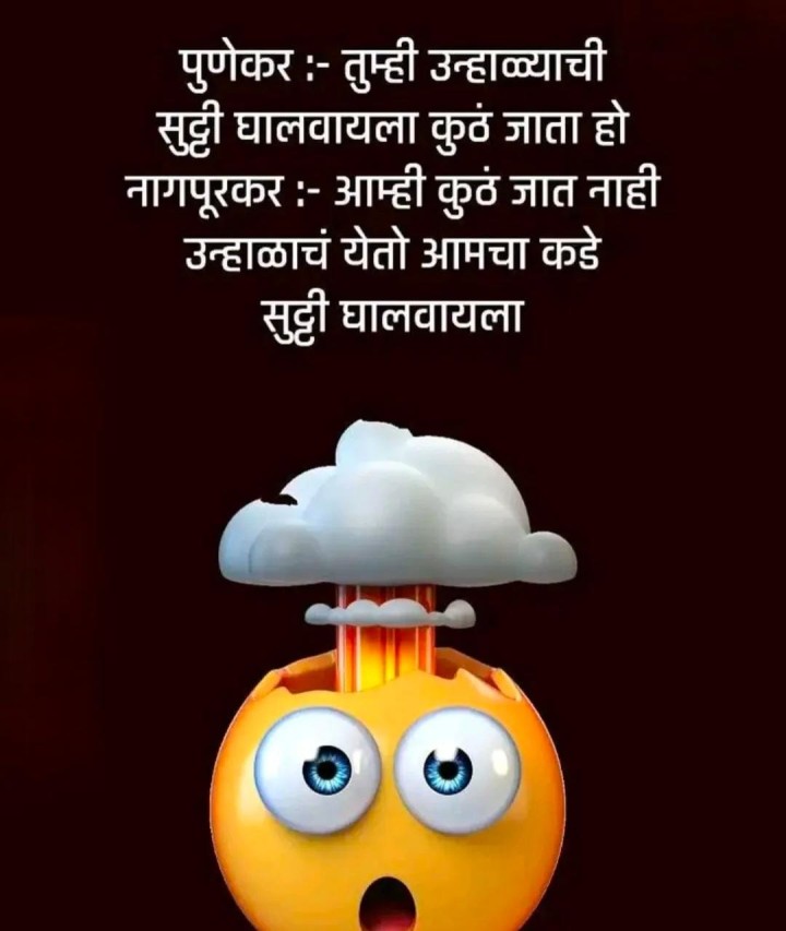 पुणेकर आणि नागपूरकर