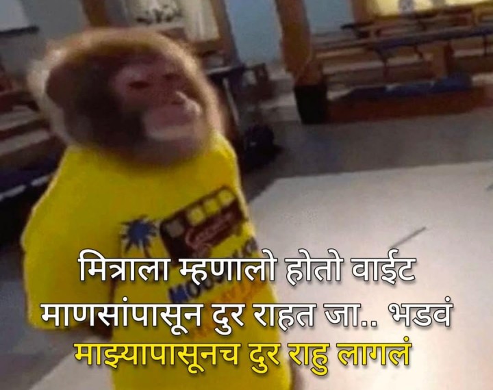 माझा दीड शहाणा मित्र