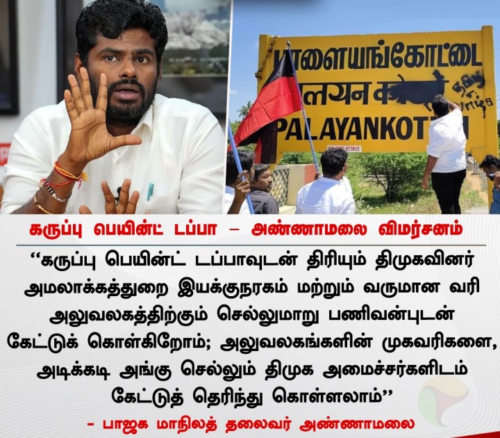 கருப்பு பெயின்ட் டப்பா - அண்ணாமலை விமர்சனம்