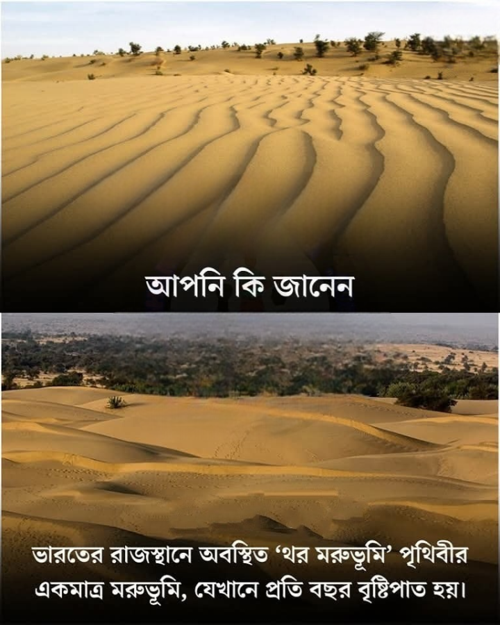 'থর'-এর হাজার কথার এক কথা! প্রতিবছর বৃষ্টি হওয়া একমাত্র মরুভূমি।