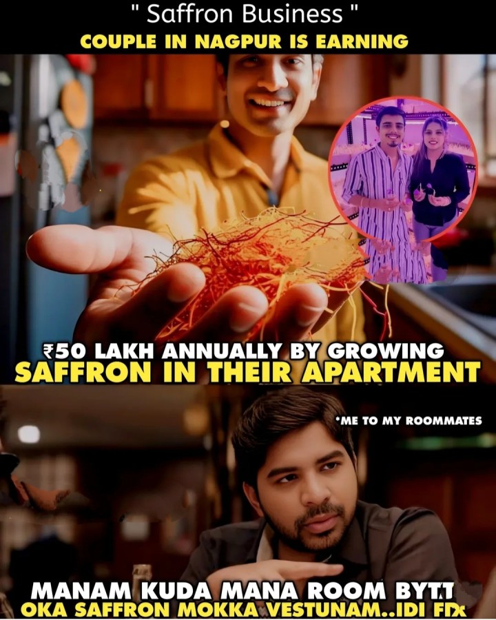 Kunkuma puvvu penchi 50 lakshalu sampadincharu