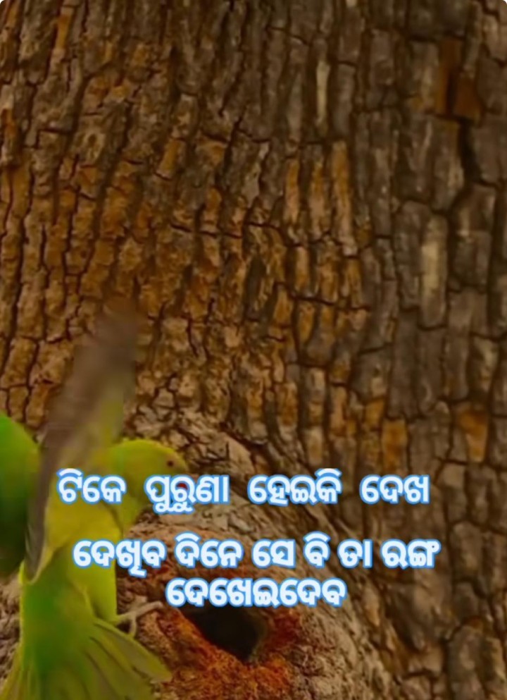 ଟିକେ ପୁରୁଣା ହେଇ କି ଦେଖ