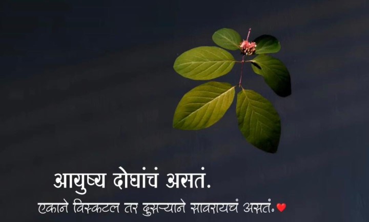 आयुष्य दोघांचं असतं
