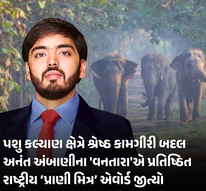 પશુ કલ્યાણ ક્ષેત્રે શ્રેષ્ઠ કામગીરી બદલ અનંત અંબાણીના 'વનતારા'એ પ્રતિષ્ઠિત રાષ્ટ્રીય ‘પ્રાણી મિત્ર’ એવોર્ડ જીત્યો
