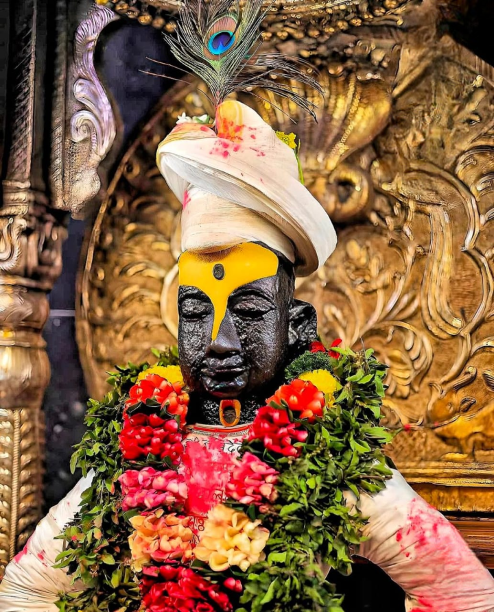 पांडुरंगाच्या भक्तीमध्ये तल्लीन व्हावे