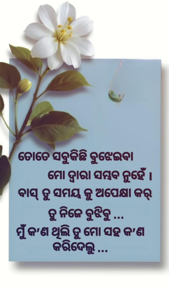 ତତେ ସବୁ କିଛି ବୁଝେଇବା ମୋ ଦ୍ୱାରା ସମ୍ଭବ ନୁହଁ