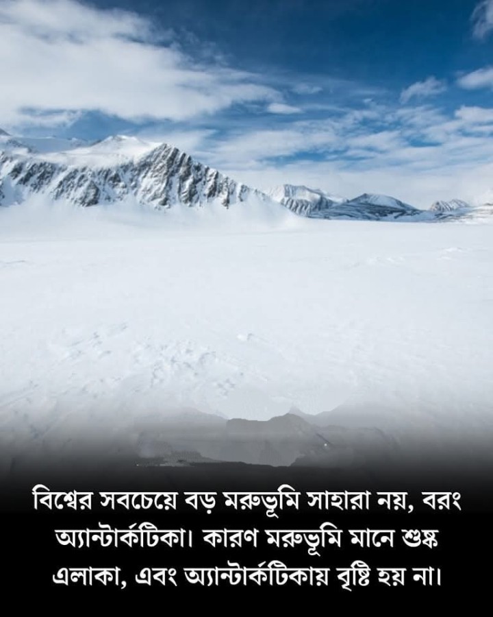 মরুভূমি মানে শুধুই বালি নয়?