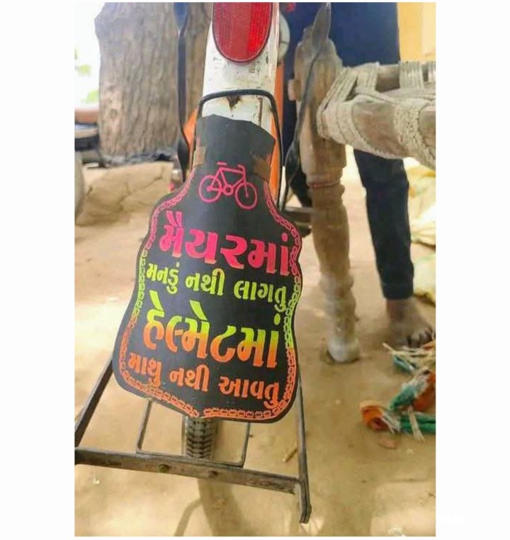 જોયા વગર ન જશો