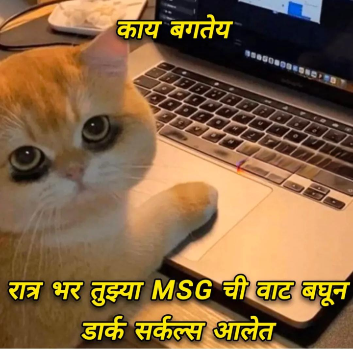 मेसेजची वाट बघत होतो