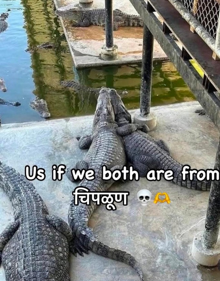 चिपळूणच्या मैत्रिणी