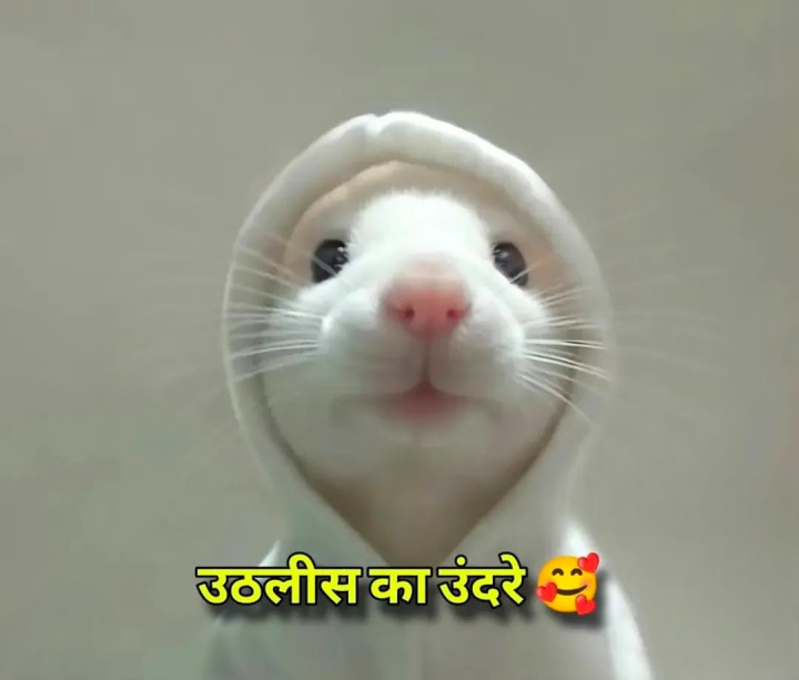 उठलीस का उंदरे