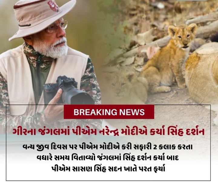 ગીરમાં PM મોદીએ કરી ફોટોગ્રાફી