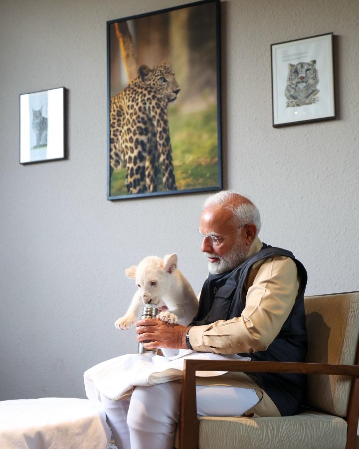 વડાપ્રધાન નરેન્દ્ર મોદીએ જામનગર સ્થિત વનતારા વન્યજીવ સંરક્ષણ કેન્દ્રની મુલાકાત લીધી હતી,