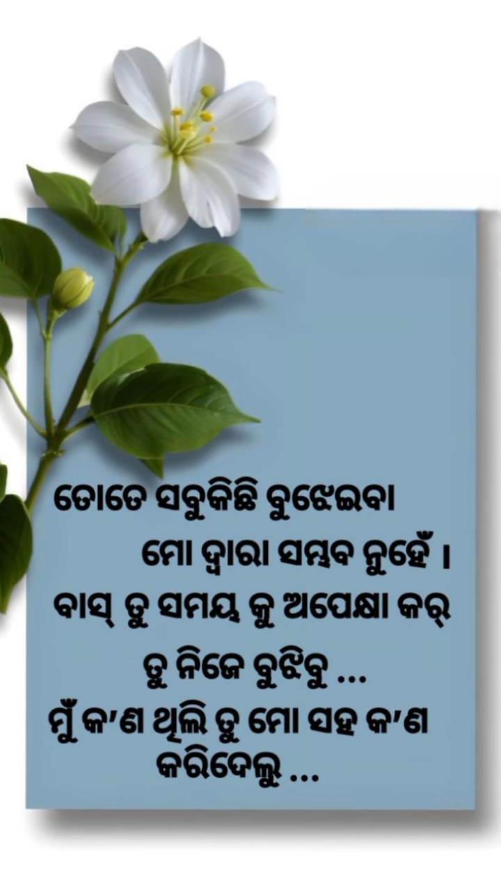 ତତେ ସବୁ କିଛି ବୁଝେଇବା ମୋ ଦ୍ୱାରା ସମ୍ଭବ ନୁହଁ