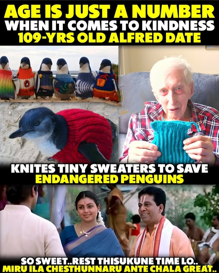Rest teeskodam kante penguins kosam kastapadatame ayanaki istam