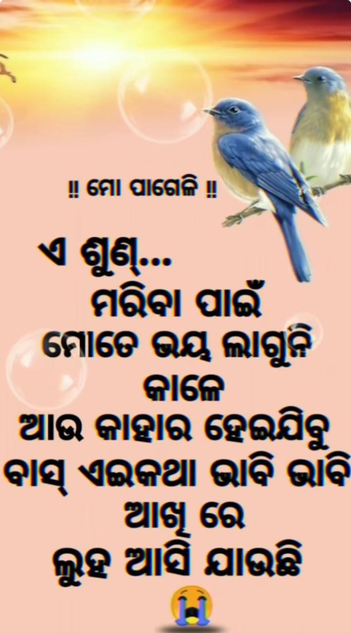 ମାରିବା ପାଇଁ ଭୟ ଲାଗୁନି
