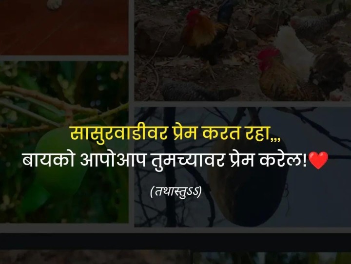 बायकोचे प्रेम मिळवण्यासाठी