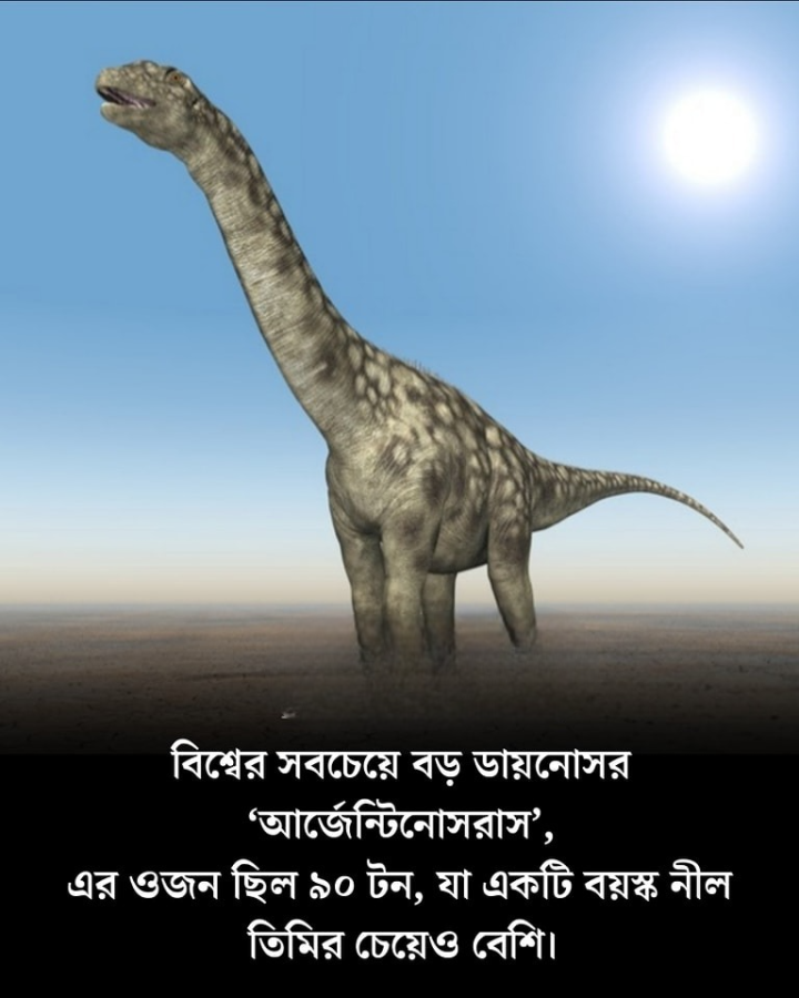 বিশ্বের সব থেকে বড় ডায়নোসর।