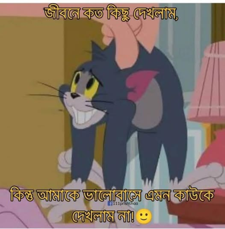 অনেক কিছু দেখলাম কিন্তু দেখলাম না...