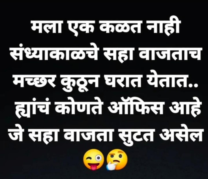 मच्छरांचे ऑफिस