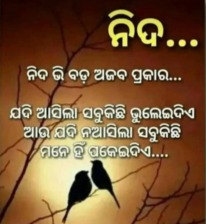 ନିଦ ବି ବଡ ଅଜବ