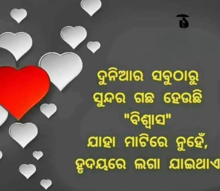ଦୁନିଆଁ ରେ ସବୁ ଠୁ ସୁନ୍ଦର ଗଛ ହେଉଛି ବିଶ୍ୱାସ