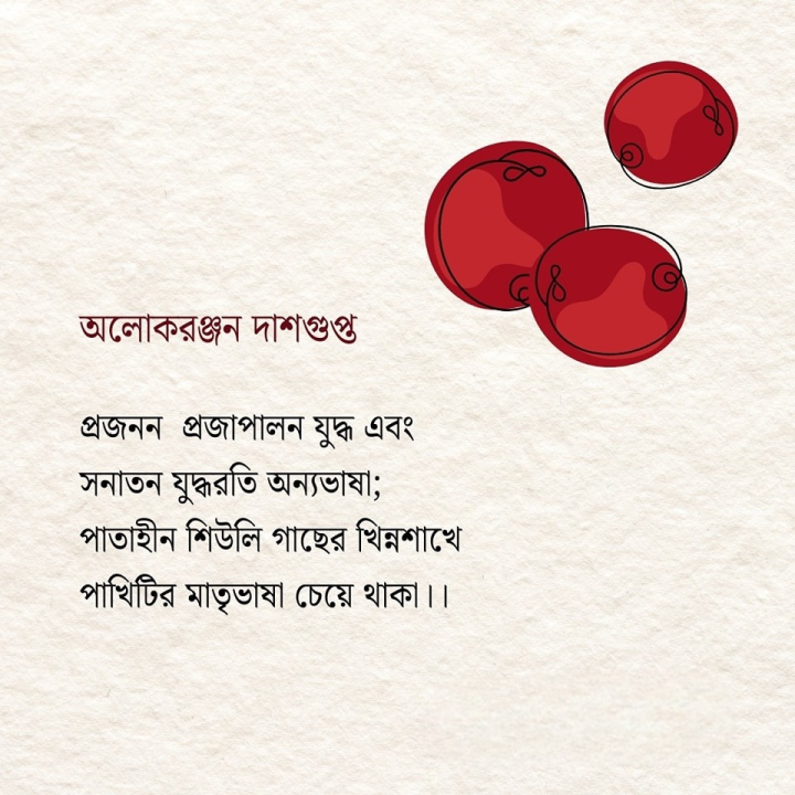 পাতাহীন শিউলি গাছ...