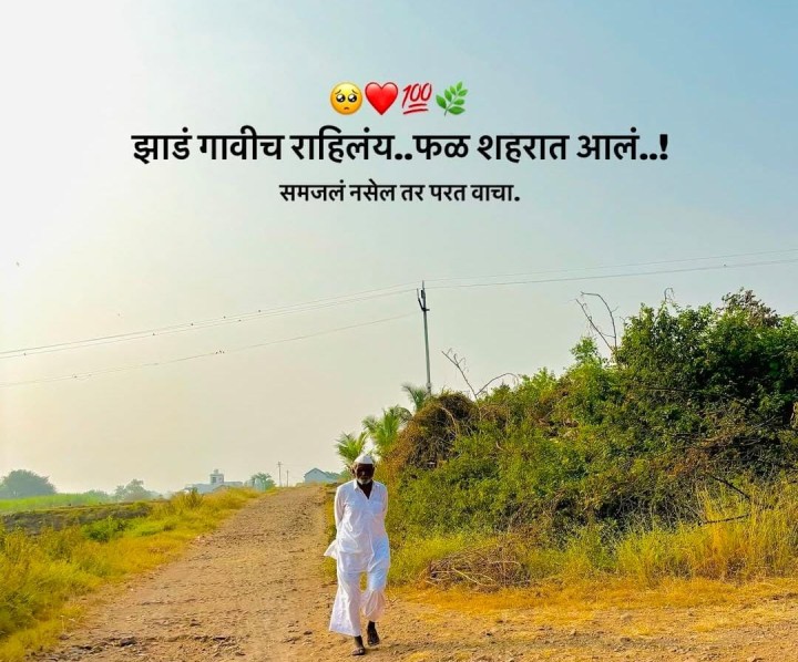 झाड आणि फळ