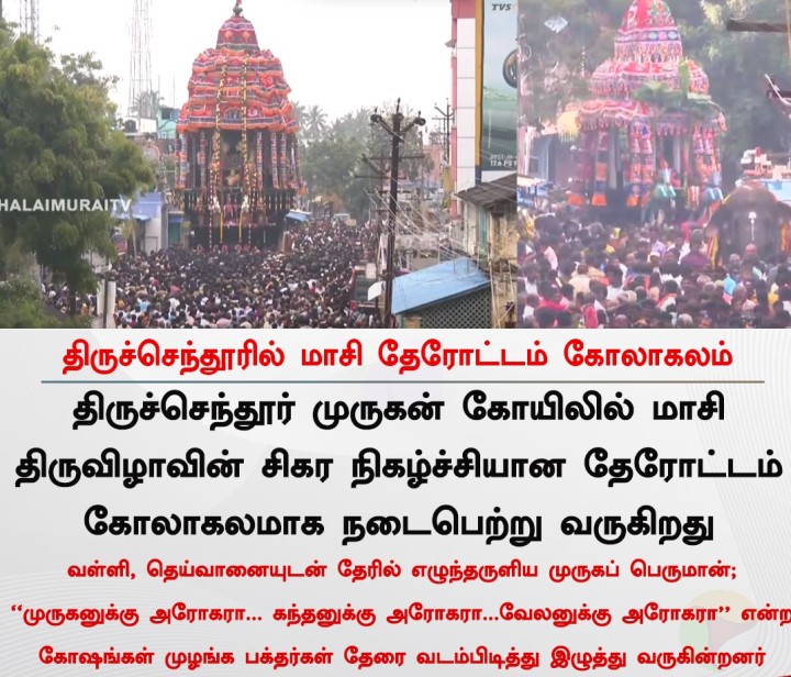 திருச்செந்தூரில் மாசி தேரோட்டம் கோலாகலம்!