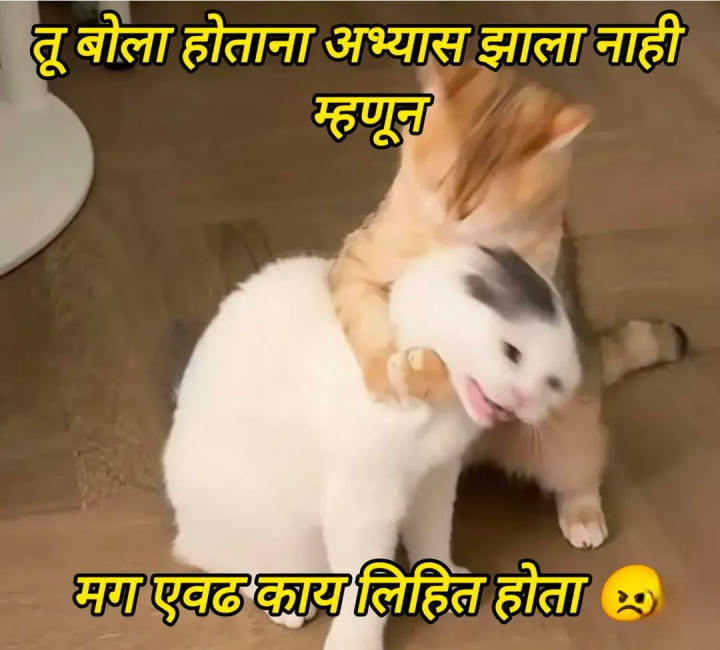 माझा खोटारडा मित्र