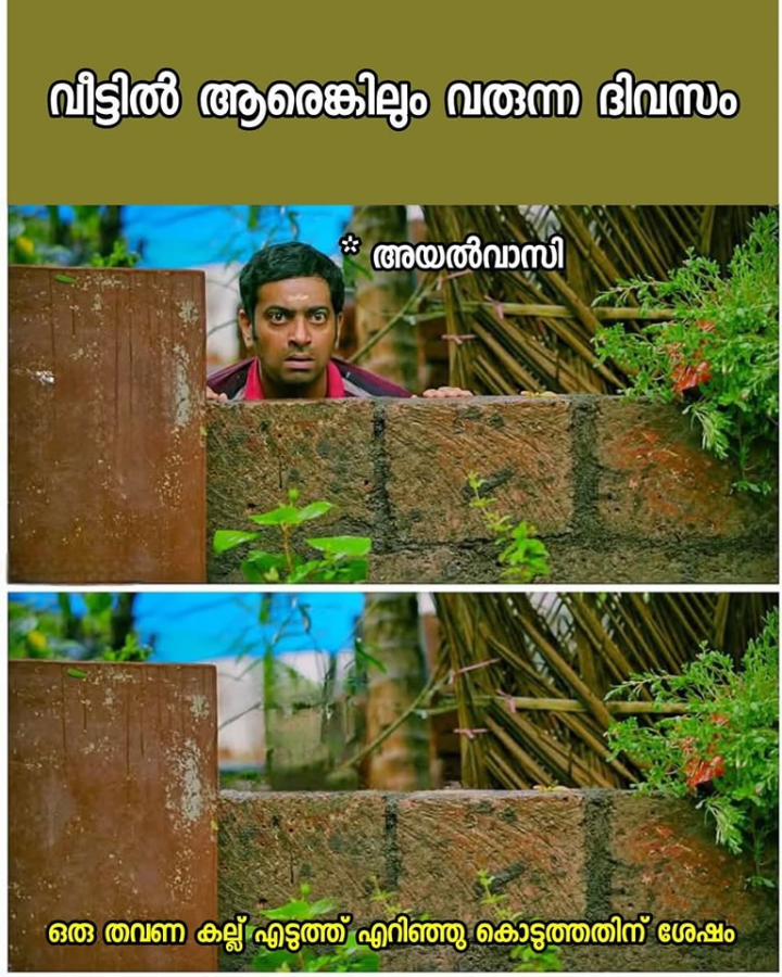 'അയ്യോ...' എന്നൊരു വിളി മാത്രം കേട്ടു