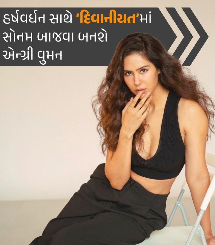 હર્ષવર્ધન રાણેને ‘સનમ તેરી કસમ’ની રી-રિલીઝ ખૂબ ફળી છે. ડાયરેક્ટર મિલાપ ઝવેરીએ હર્ષવર્ધન રાણે સાથે નવી ફિલ્મ ‘દિવાનીયત’નું શૂટિંગ શરૂ કર્યું છે. આ ફિલ્મમાં હર્ષવર્ધન સાથે લીડ રોલમાં સોનમ બાજવાને પસંદ કરાઈ છે. ફિલ્મનું મોશન પોસ્ટર રિલીઝ કરતી વખતે ટીમમાં સોનમના સમાવેશ અને તેના રોલ અંગે જાણકારી અપાઈ હતી. ફિલ્મમાં સોનમ બાજવાની ઓળખ એન્ગ્રી વુમન તરીકે આપવામાં આવી છે. પંજાબી ફિલ્મની 