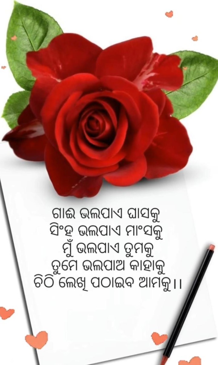 ତମେ ଚିଠ ଲେଖି ପଠାଇବ ଆମକୁ