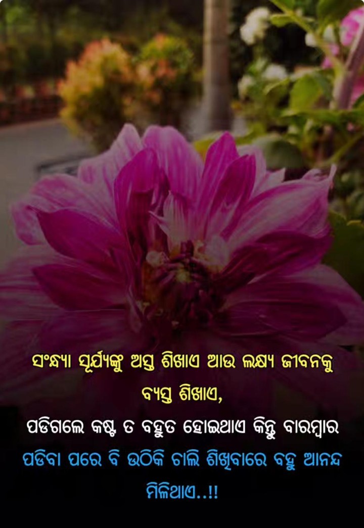 ଲକ୍ଷ୍ୟ ଜୀବନକୁ ବ୍ୟସ୍ତ ଶିଖାଏ