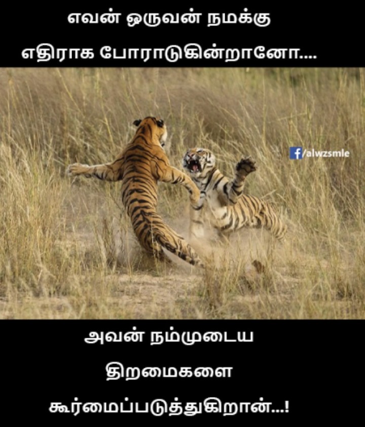 உண்மை