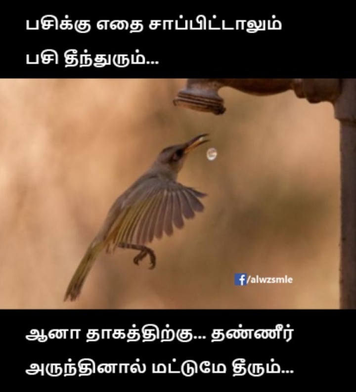 எனக்கு சாத்துக்குடி ஜூஸ் அல்லது இளநீர் கூட போதும்