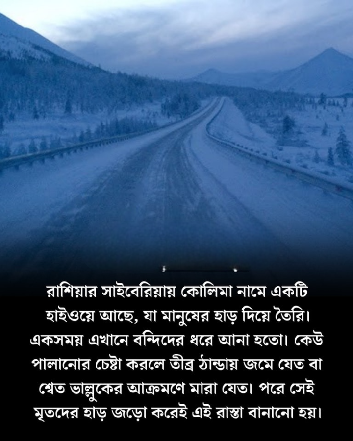 ভয়াবহ মহাসড়।