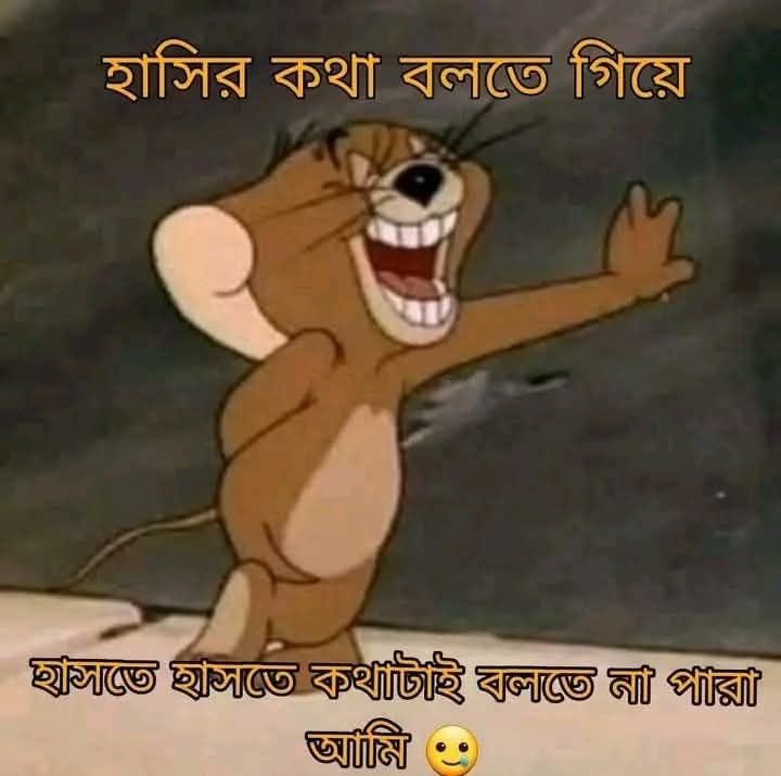 হাসির কথা বলতে গিয়ে...