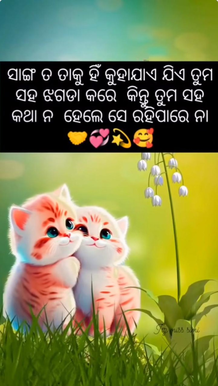 ସାଙ୍ଗ ତାକୁ ହିଁ କୁହାଯାଏ