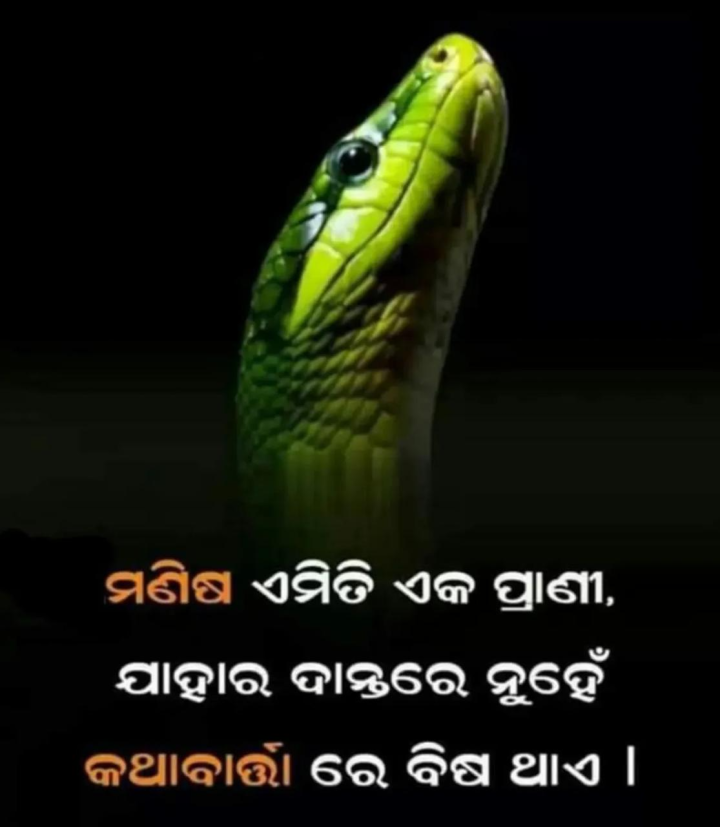 ମଣିଷ ଏମିତି ଏକ ପ୍ରାଣୀ