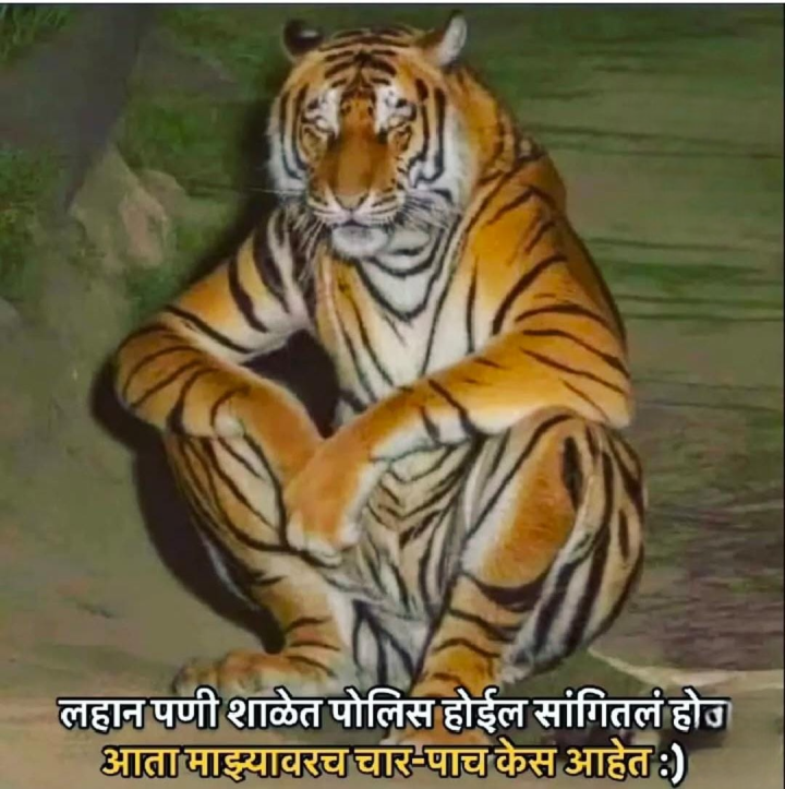 वाघाचा प्रॉब्लेम