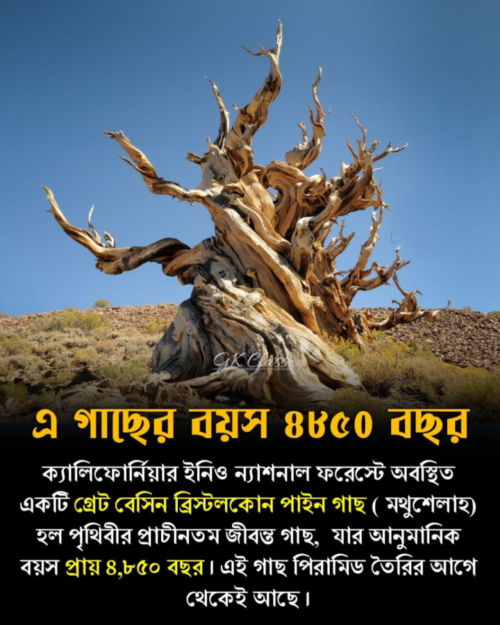 বিশ্বের প্রাচীনতম জীবনের কথা।