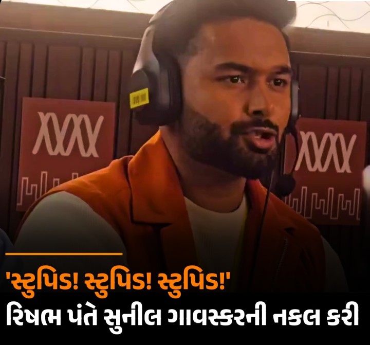 સ્ટુપિડ! સ્ટુપિડ! સ્ટુપિડ!'  રિષભ પંતે સુનીલ ગાવસ્કરની નકલ કરી
