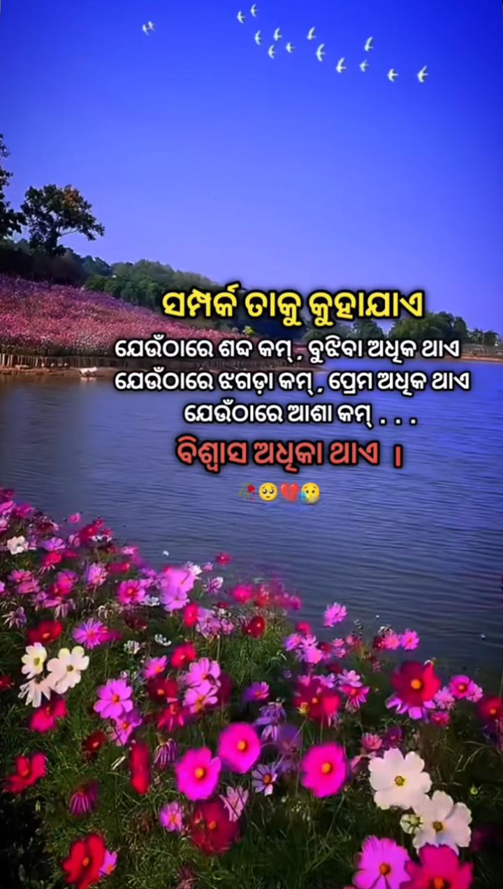 ସମ୍ପର୍କ ତାକୁ କୁହାଯାଏ